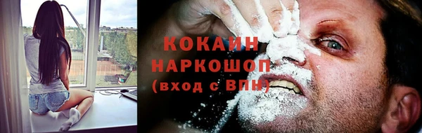 соль ск Арсеньев