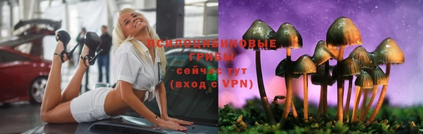 соль ск Арсеньев