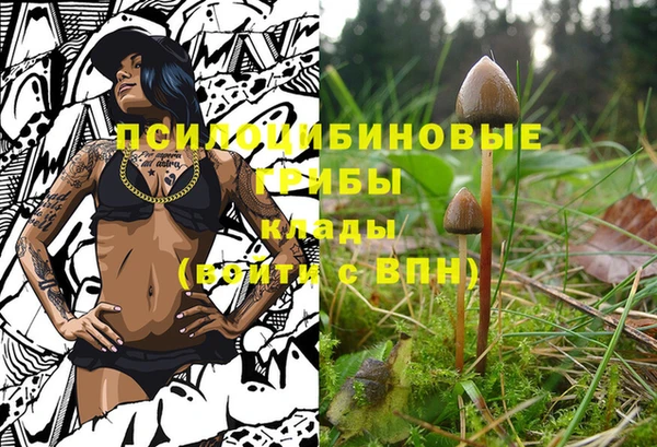 соль ск Арсеньев