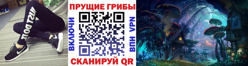 закладка  Татарск  Псилоцибиновые грибы Psilocybine cubensis 